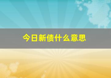 今日新债什么意思