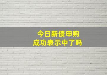 今日新债申购成功表示中了吗