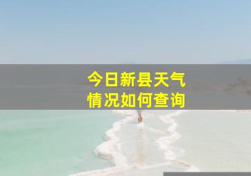 今日新县天气情况如何查询