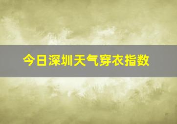 今日深圳天气穿衣指数