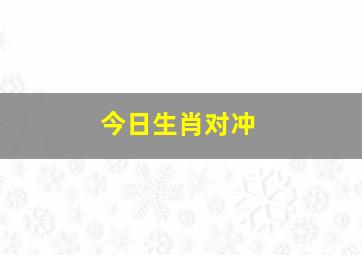 今日生肖对冲