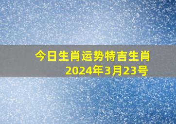 今日生肖运势特吉生肖2024年3月23号