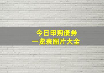 今日申购债券一览表图片大全