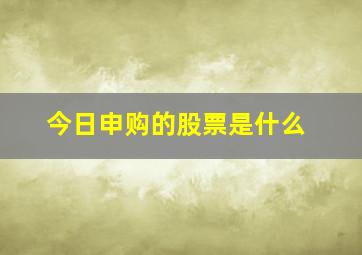 今日申购的股票是什么