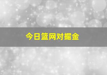 今日篮网对掘金