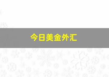 今日美金外汇