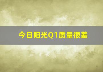 今日阳光Q1质量很差