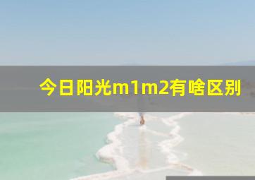 今日阳光m1m2有啥区别