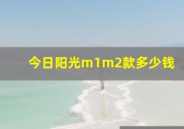 今日阳光m1m2款多少钱