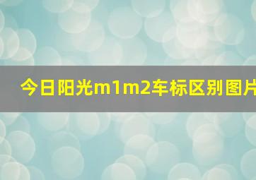 今日阳光m1m2车标区别图片