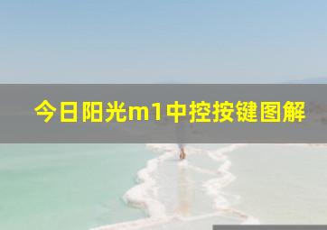 今日阳光m1中控按键图解