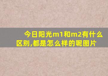 今日阳光m1和m2有什么区别,都是怎么样的呢图片