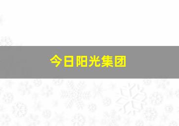 今日阳光集团