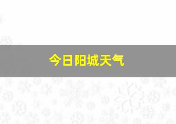 今日阳城天气