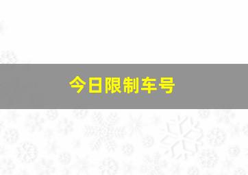 今日限制车号