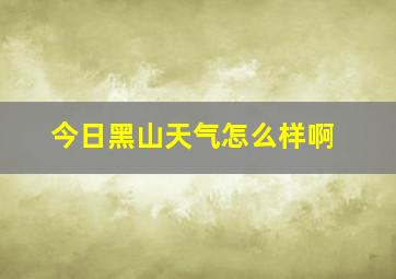 今日黑山天气怎么样啊