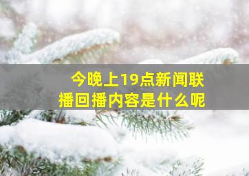 今晚上19点新闻联播回播内容是什么呢