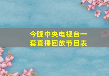 今晚中央电视台一套直播回放节目表