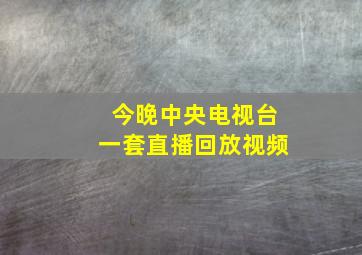 今晚中央电视台一套直播回放视频