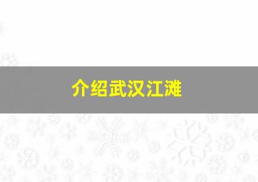 介绍武汉江滩