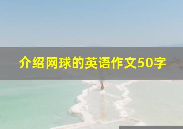 介绍网球的英语作文50字