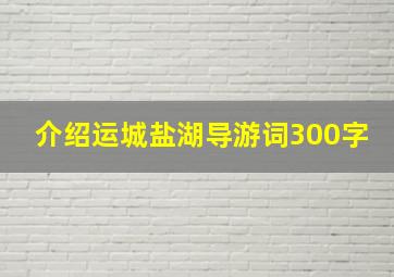 介绍运城盐湖导游词300字