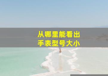 从哪里能看出手表型号大小