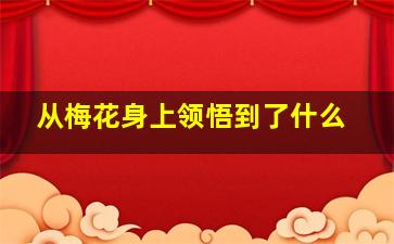 从梅花身上领悟到了什么