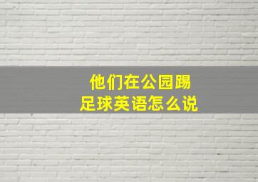 他们在公园踢足球英语怎么说