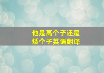 他是高个子还是矮个子英语翻译