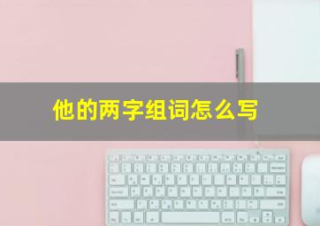 他的两字组词怎么写