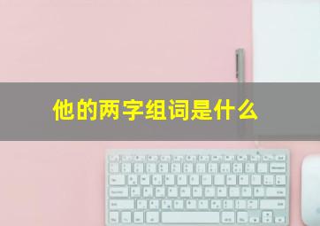 他的两字组词是什么