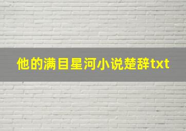 他的满目星河小说楚辞txt