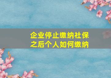 企业停止缴纳社保之后个人如何缴纳