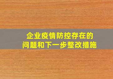 企业疫情防控存在的问题和下一步整改措施