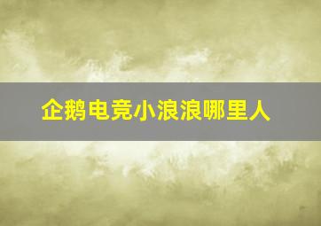 企鹅电竞小浪浪哪里人