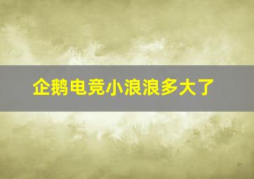 企鹅电竞小浪浪多大了