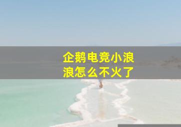 企鹅电竞小浪浪怎么不火了