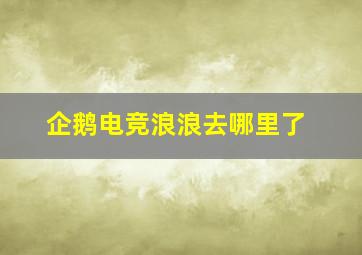 企鹅电竞浪浪去哪里了