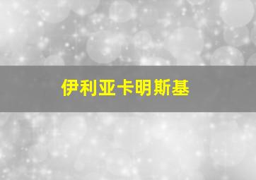 伊利亚卡明斯基