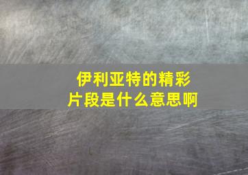 伊利亚特的精彩片段是什么意思啊