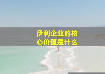 伊利企业的核心价值是什么