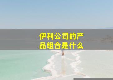 伊利公司的产品组合是什么