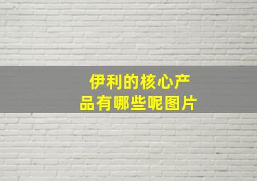 伊利的核心产品有哪些呢图片