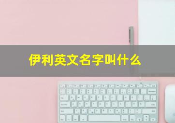 伊利英文名字叫什么