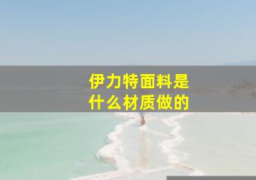 伊力特面料是什么材质做的