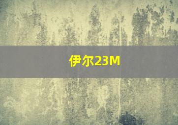 伊尔23M