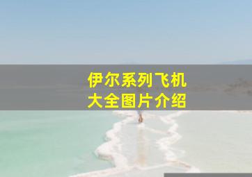 伊尔系列飞机大全图片介绍