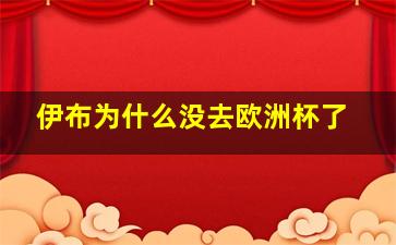 伊布为什么没去欧洲杯了