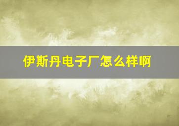 伊斯丹电子厂怎么样啊